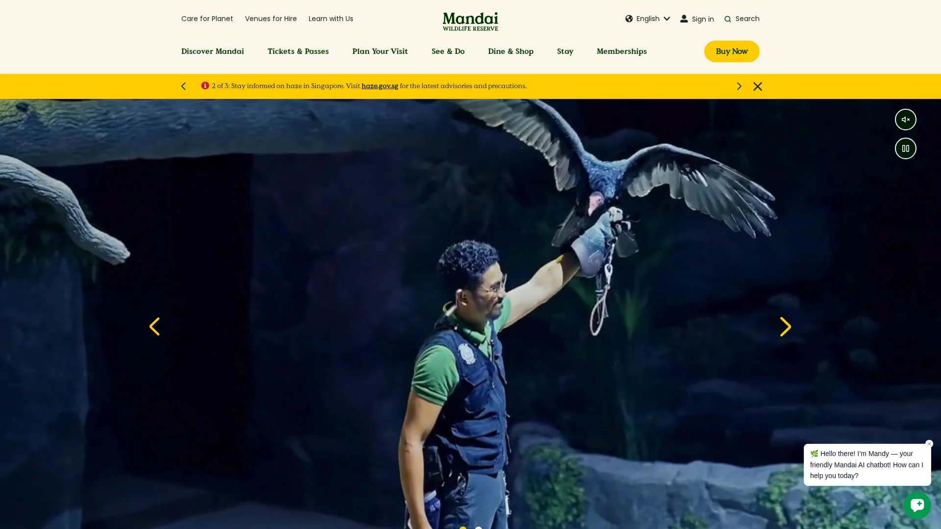 Night Safari at Singapore Zoo